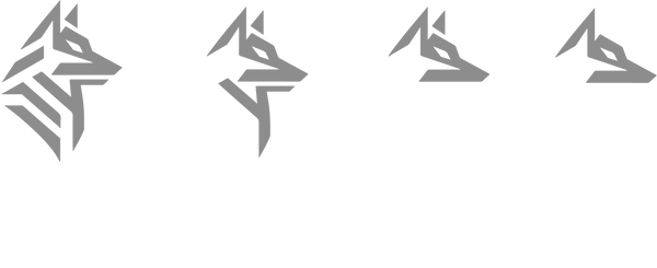R E S I L I E N Z